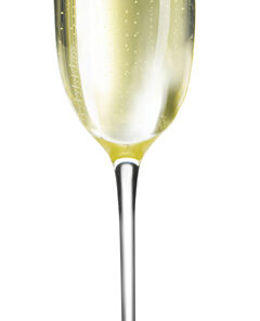 Eva Solo Champagne 0,20L