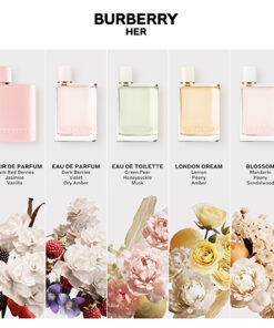 Burberry Her