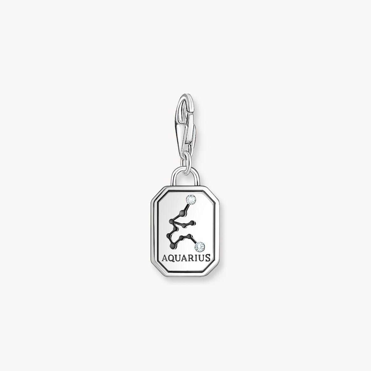 Thomas Sabo-Charm-hängsmycke stjärntecknet Vattumannen med stenar, silver - Bild 4