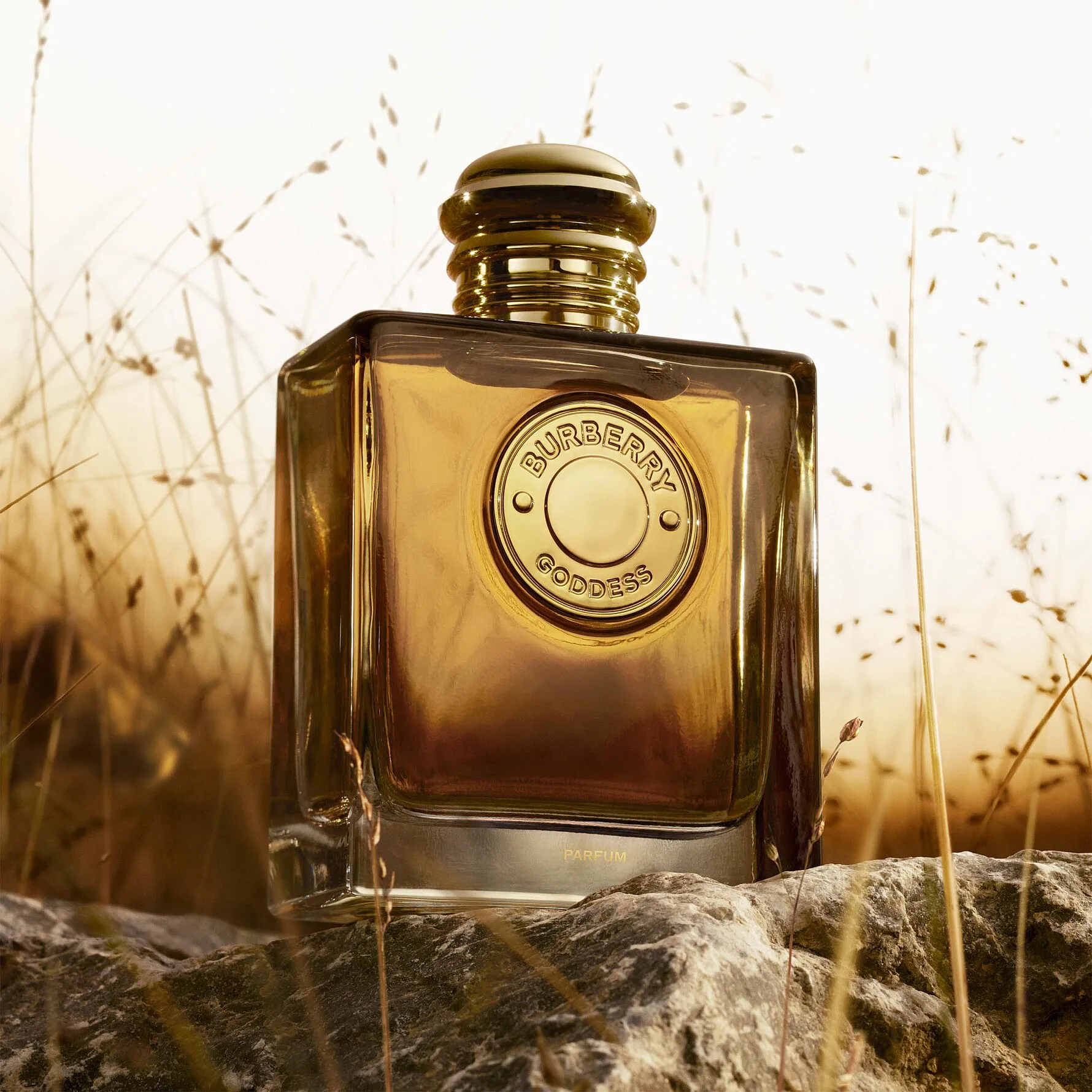 Burberry Goddess Parfum EdP 30 ml - Bild 3