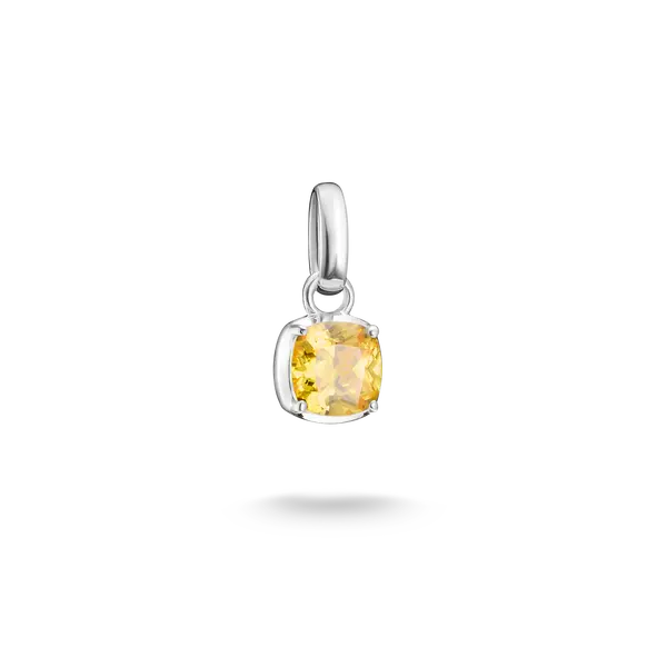 Charm-hängsmycke födelsesten november Connect Silver