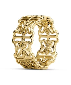 Ring Icona
